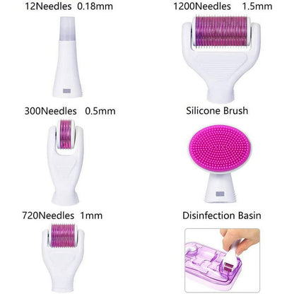 Dermaroller kit 6 en 1
