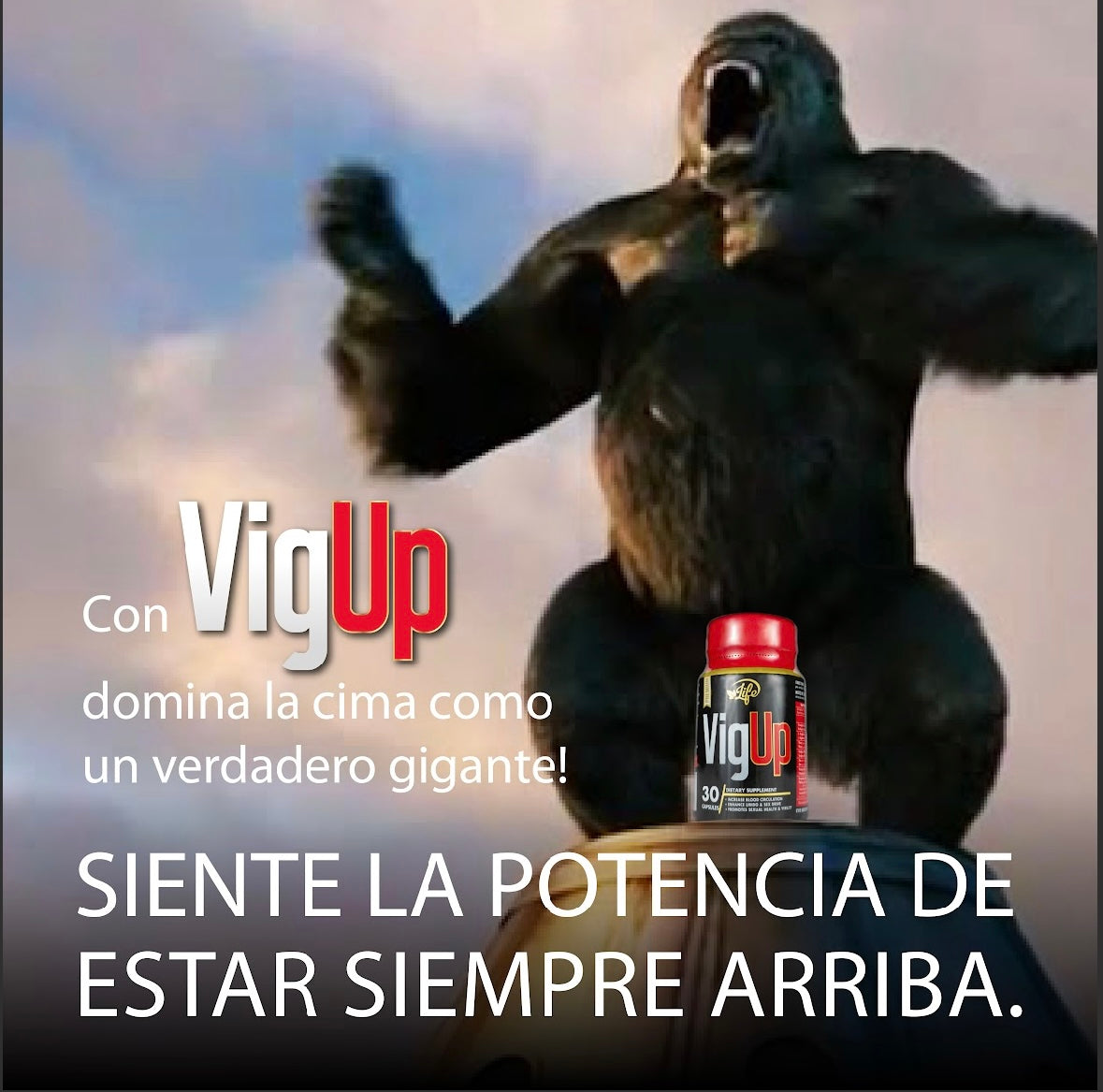 VigUp 30 Capsulas